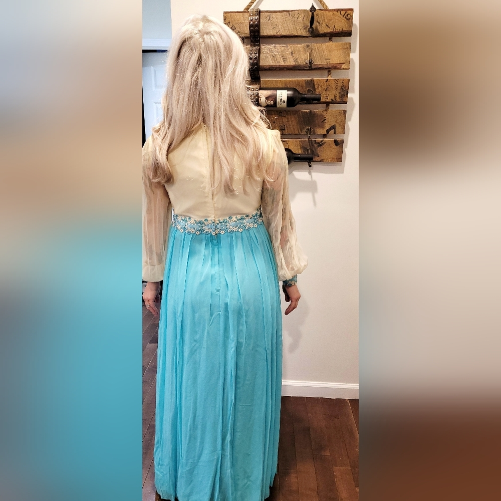 Vintage 1970s blue and ivory tulle embroidered floral maxi dress gown - Picture 7 of 14